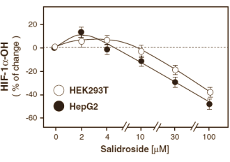 Rhodiola compound boosts EPO production