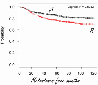 Animal study: SAM-e inhibits breast cancer