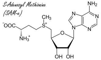 Animal study: SAM-e inhibits breast cancer