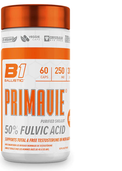 A capsule of shilajit a day makes bones stronger