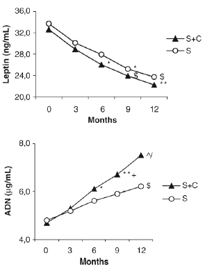 Weight loss with sibutramine goes faster when L-carnitine is added