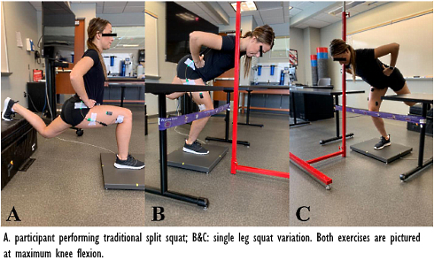 The single leg squat for the gluteal muscles, the split squat for the quads