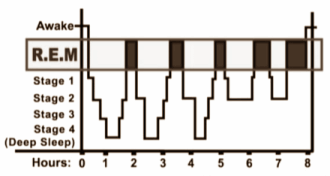 Sleep better, live longer