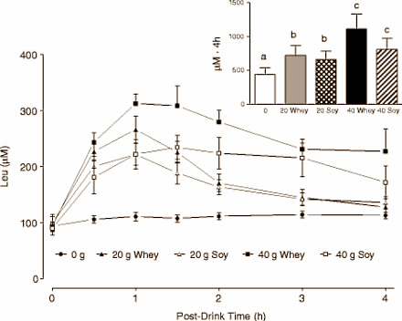 Older strength athlete benefits more from whey than from soya after a workout