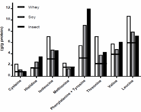 Insect protein just as good for muscle growth as protein from soy