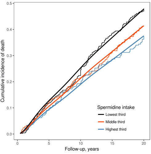 Dietary spermidine extends your lifespan (by maybe 6 years)