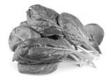 Athletes who find beetroot supplements useful will probably also do well with spinach and rucola supplements. Researchers at the University of Maastricht in the Netherlands discovered this, as spinach and rucola are just as good as sources of nitrate and nitrite as beetroot is.