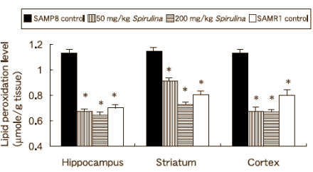 Animal study: spirulina prevents dementia