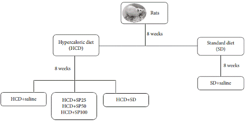 Spirulina, an unlikely supplement for erectile dysfunction