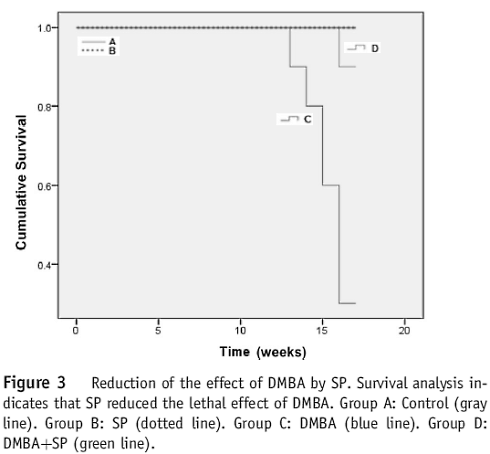 Supplementation with Spirulina platensis probably has a protective effect against breast cancer in women. Researchers from Sultan Qaboos University in Oman write about this in the American Journal of Pathology. The researchers caused rats to develop breast cancer by injecting them with a carcinogenic compound, and then observed that spirulina supplementation reduced the chance of tumour formation by a factor of seven.