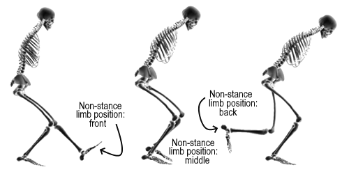 This variant of the single legged squat is the best exercise for the glutes