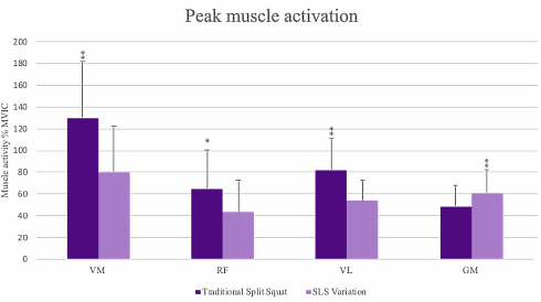 The single leg squat for the gluteal muscles, the split squat for the quads