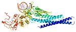 Glucosamine inhibits tough kinds of cancer