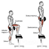24 leg exercises compared: the step-up is best for the glutes