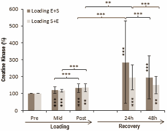 Recover faster: strength training first, cardio afterwards