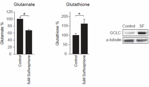 Sulforaphane, an antipsychotic from broccoli