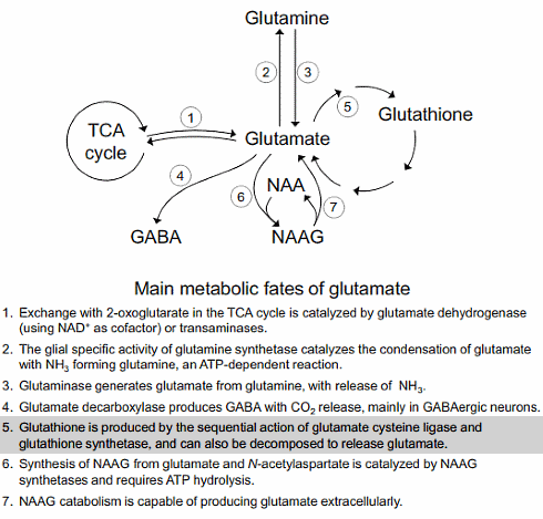 Sulforaphane, an antipsychotic from broccoli