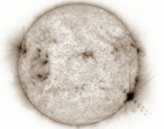 Animal study: sunbathing is addictive