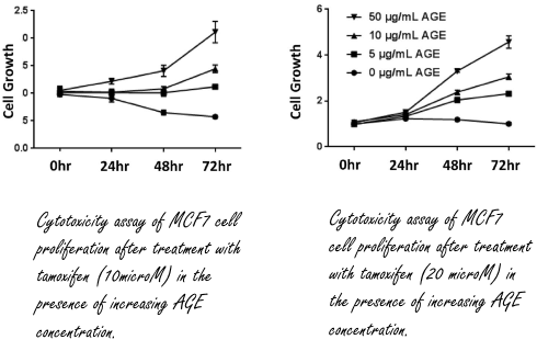 AGEs | The estrogenic effect of unhealthy foods