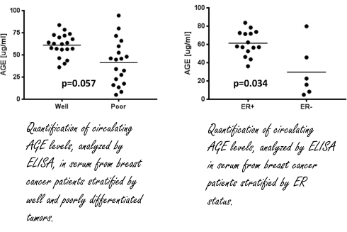 AGEs | The estrogenic effect of unhealthy foods