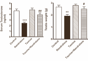 Taurine protects steroids users' testes