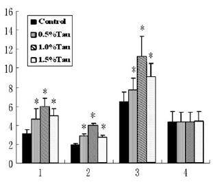 Taurine doubles testosterone level: animal study