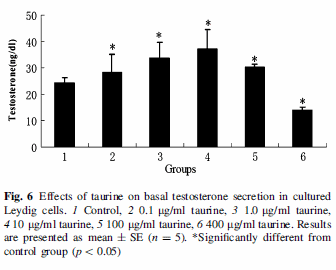 Taurine doubles testosterone level: animal study