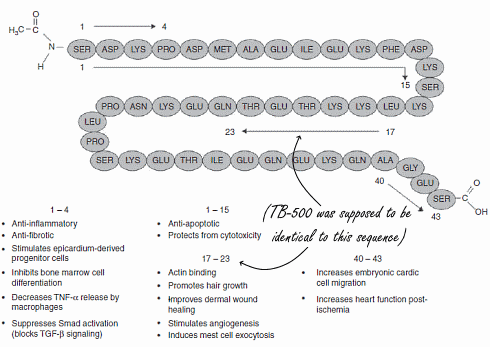 Too little TB-500 does not work, neither does too much