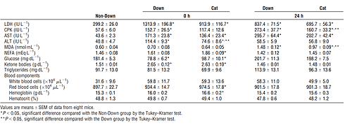 Green tea supplements don't just protect muscles during heavy physical exertion. The catechins in tea also speed up recovery after exercise. An animal study published by researchers at the Japanese Kao Corporation in Medicine and Science in Sports and Exercise provides evidence.