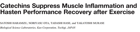 Green tea supplements don't just protect muscles during heavy physical exertion. The catechins in tea also speed up recovery after exercise. An animal study published by researchers at the Japanese Kao Corporation in Medicine and Science in Sports and Exercise provides evidence.
