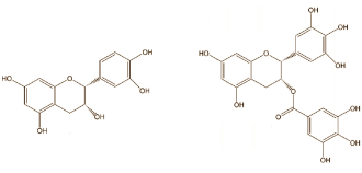 Tea for temporary T boost