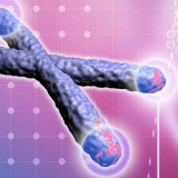 A few workouts per week eliminate the life-shortening effect of stress