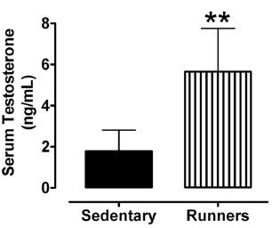 Runners' testes stay young