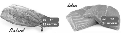 Is the carnivore diet unhealthy?