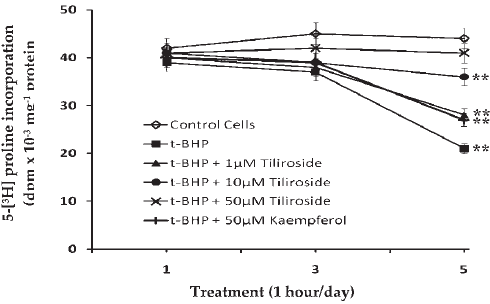 This is how tiliroside, the anabolic in rosehip, works