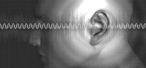 More dietary fiber, less tinnitus