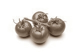 Tomato puree protects skin against aging