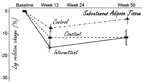 The 5:2 fasting diet is just as effective as the traditional weight loss approach