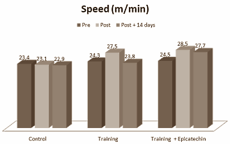 Endurance athletes who are unable to train for a few weeks can help maintain the condition they've built up by taking supplements containing (-)-epicatechin, a flavonoid that occurs naturally in cacao. Molecular scientists at Wayne State University discovered this when they did trials on mice.
