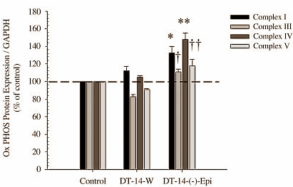 Endurance athletes who are unable to train for a few weeks can help maintain the condition they've built up by taking supplements containing (-)-epicatechin, a flavonoid that occurs naturally in cacao. Molecular scientists at Wayne State University discovered this when they did trials on mice.