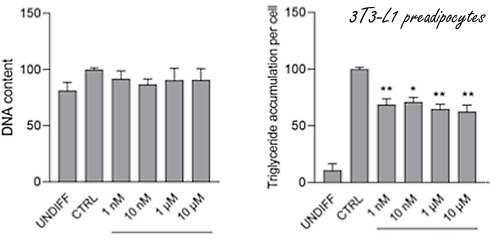 Black pepper extract PipeNig-FL stimulates muscle growth while inhibiting body fat growth