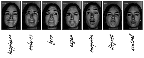 Tryptophan supplementation increases emotional intelligence