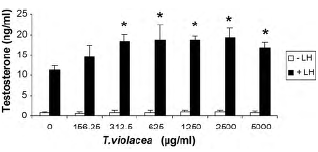 Wild Garlic extract boosts testosterone production in vitro