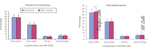 Starting your day with tulsi prepares your immune system for virus attack