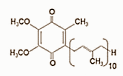 Animal study: Q10 reduces psychological stress and may help against depression