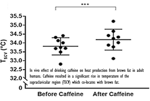 prije i nakon uzimanja kave