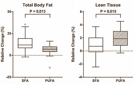 Weight gain? The kind of fat in your diet helps determine how much muscle mass you build up