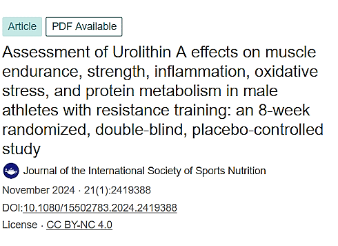 Bodybuilders' muscles also become stronger with urolithin-A