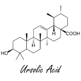 Ursolic Acid