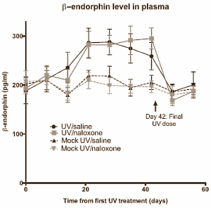 Animal study: sunbathing is addictive